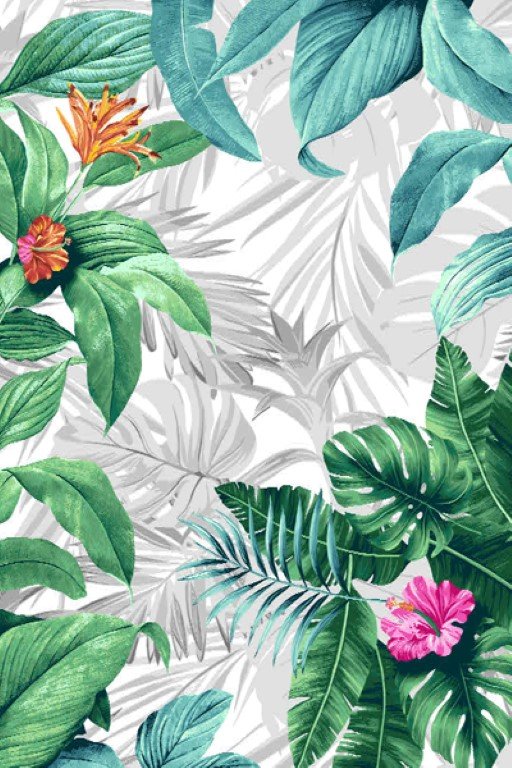 Amazon Floral